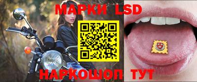 спиды Новозыбков